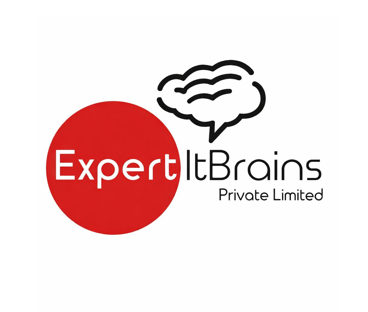 Expert IT Brains Private Limited company logo